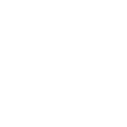 Arrow Down Icon